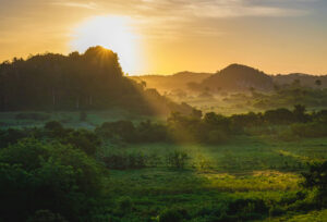 How to Retire Early: 8 Tips to Follow - Post